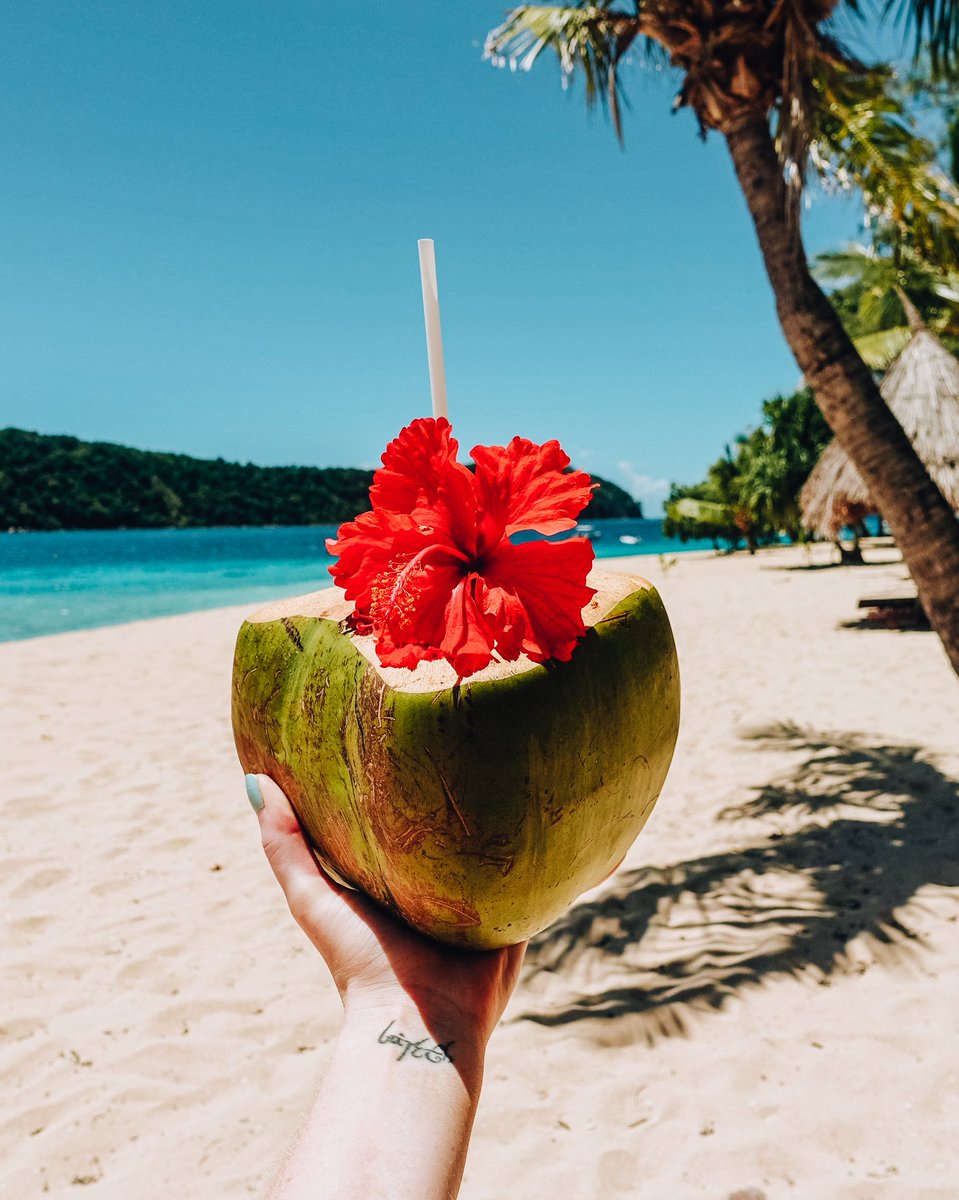 paradisecovefj's tweet photo. Fresh coconuts on the beach anyone? Bula from our little slice of paradise! 🌴🌞🌺 #paradisecoveresortfiji #fiji #yasawaislands @TourismFiji https://t.co/ti32m0CJ0H
