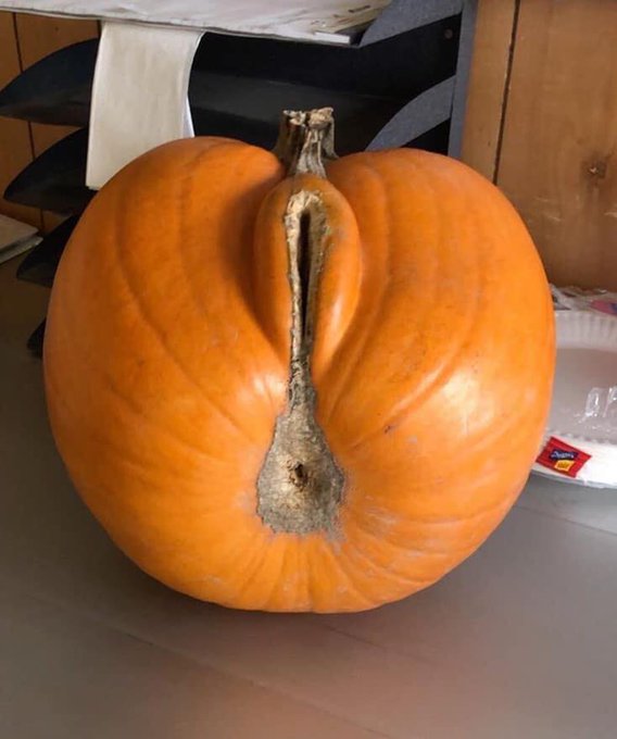 Pretty sure I just got this pregnant. LOL https://t.co/1wCL3o09uF
