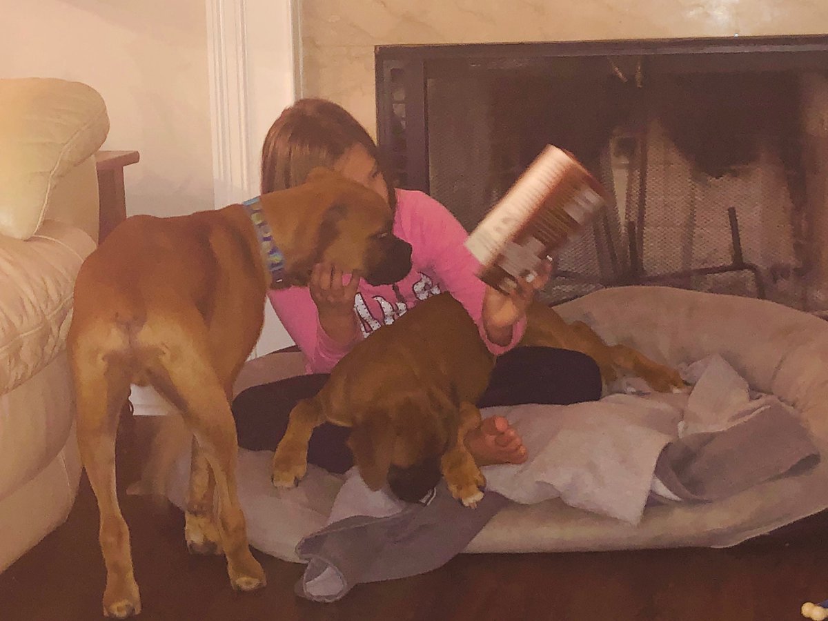 MrsKDaniel1229's tweet photo. Ashby reading bedtime stories for Chloe and Sammyπ @CGETwolves
#readingchallenge #CGETwolves https://t.co/l7DWRmPtQb