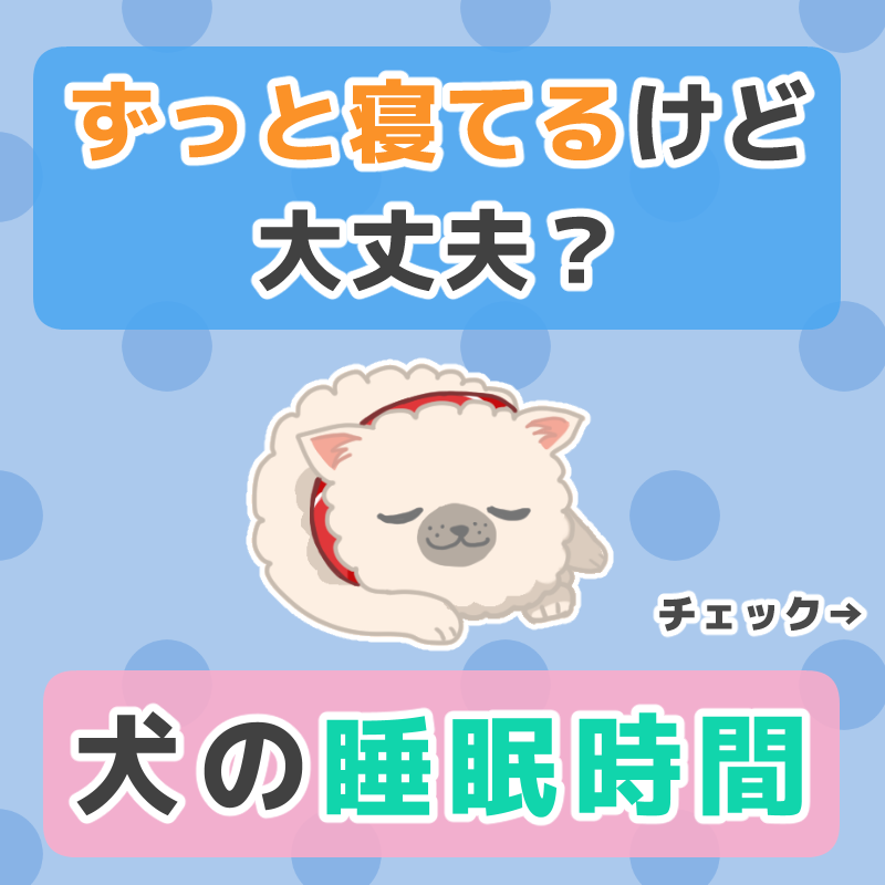犬の睡眠時間
