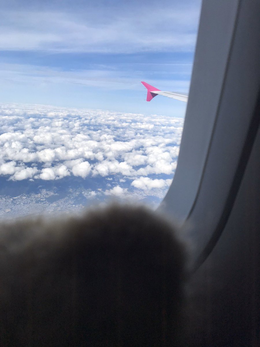 ふわふわ〜
#レッサーパンダ #飛行機
