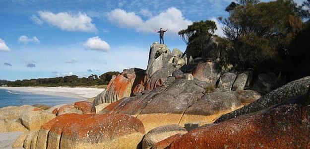 Everything you need to know about touring Tasmania...😍 

bit.ly/2t4PECA