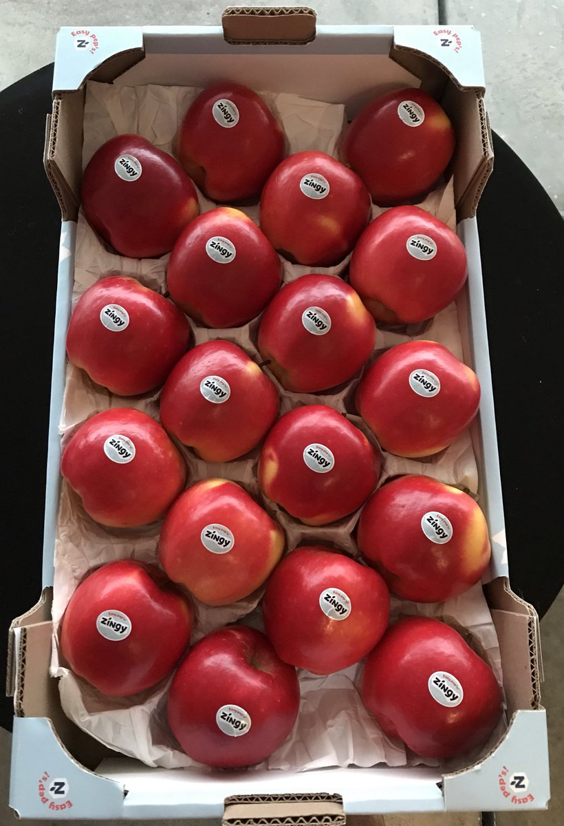 Bienvenue à la petite nouvelle chez Innatis: Zingy ! Venez découvrir notre nouvelle pomme Hall 4 Stand C8 au Fruit Attraction #zingy #easypeps