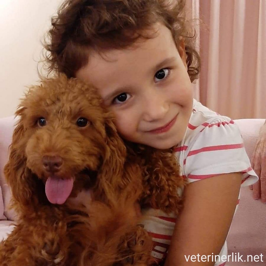 Fotoğrafçılık ödüllerinin tümünü toplayabiliriz 👧♥️🐶📸

Dostlarınızla ilgili tüm sorularınızı alanında uzman veteriner hekimlerimize ücretsiz sormak için hemen üye olun.

veterinerlik.net

#köpek #dog #hayvan #animal #dost #çocuk #kind #veteriner  #veterinerliknet