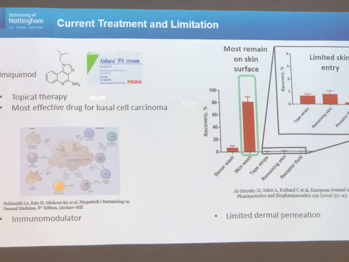 AkmallHidayat's tweet photo. It was a great pleasure to deliver my talk on the application of ToFSIMS in drug delivery at SIMS22 in Japan π―π΅ Thank you for the IUVSTA award and UKSAF 2019 travel award for giving me the chance to attend such an amazing conference #sims22 #drugdelivery https://t.co/jut4n4Kr0T