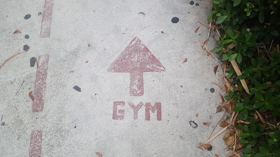 OnRopes's tweet image. If you were looking for a sign this is it! Book onto our #training classes, keep #jumproping, keep burning fat and keep building stamina and strength!

ontheropes.com 

#jumprope #jumpropers