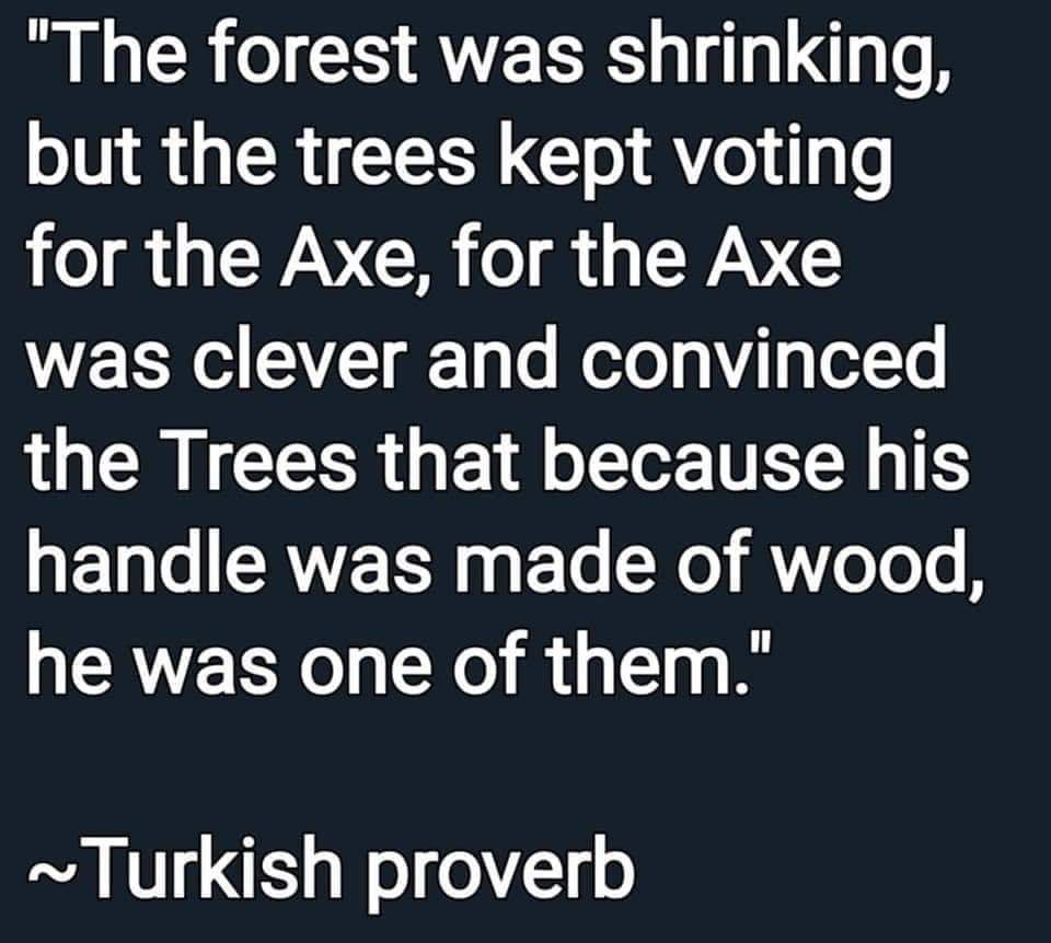 Elizabeth Gregory (@dizzydoodler) on Twitter photo 