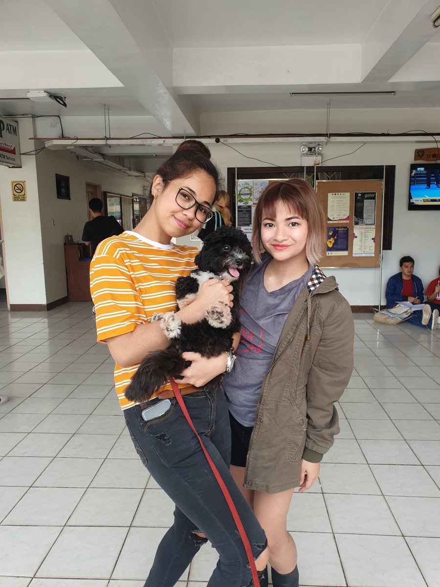 [ANYA NGAY UPDATE]

The first dog, Stormi, has arrived for our Pet Day! Come and bring your cute, lovable fur babies here in the IB Lobby! 

#RestAndPeace
#PetDay