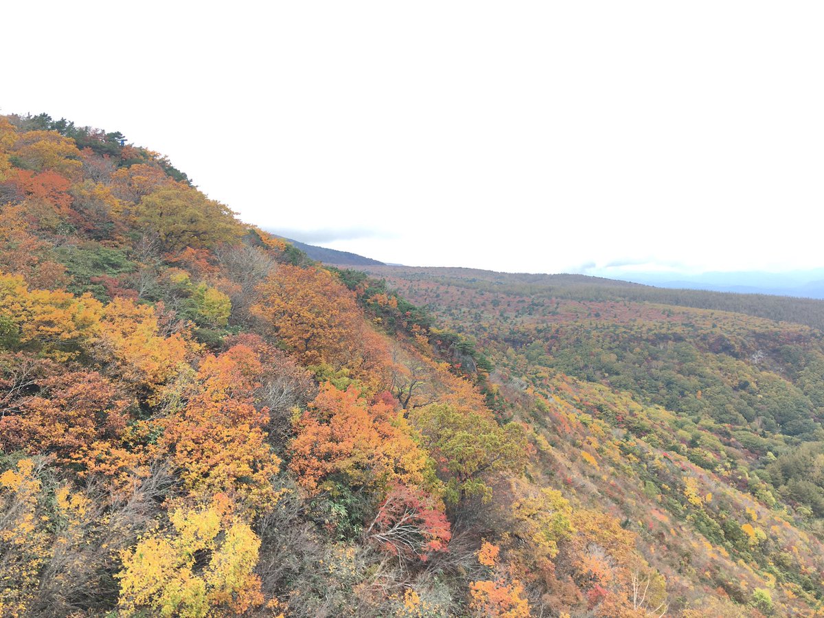 柳美里 あれが阿多多羅山 あの光るのが阿武隈川 ここはあなたの生れたふるさと あの小さな白壁の点点があなたのうちの酒庫 それでは足をのびのびと投げ出して このがらんと晴れ渡つた北国の木の香に満ちた空気を吸はう 高村光太郎 智恵子抄 柳美里 あれが阿多多羅山 あの光るのが阿武隈川 ここはあなたの生れたふるさと あの小さな白壁の点点があなたのうちの酒庫 それでは足をのびのびと投げ出して このがらんと晴れ渡つた北国の木の香に満ちた空気を吸はう 高村光太郎 智恵子抄