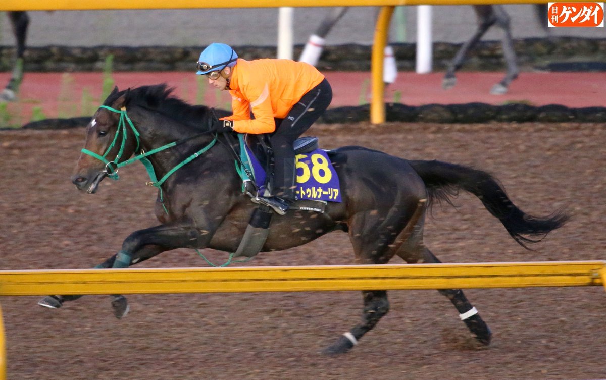 日刊ゲンダイ 競馬 天皇賞 秋 サートゥルナーリアのスミヨン騎手が手綱を取っての最終追い切り 辻野助手によると ベリーグッド 言うことない この馬に乗るために 日本に きたんだ 来年のロンシャン 凱旋門賞 に連れてきてほしい と大絶賛だっ 日刊ゲンダイ 競馬 天皇賞 秋 サートゥルナーリアのスミヨン騎手が手綱を取っての最終追い切り 辻野助手によると ベリーグッド 言うことない この馬に乗るために 日本に きたんだ 来年のロンシャン 凱旋門賞 に連れてきてほしい と大絶賛だっ