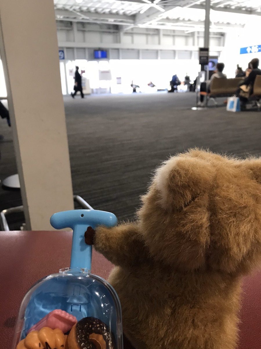 飛行機✈️ワクワク
#レッサーパンダ
#関空
#出張