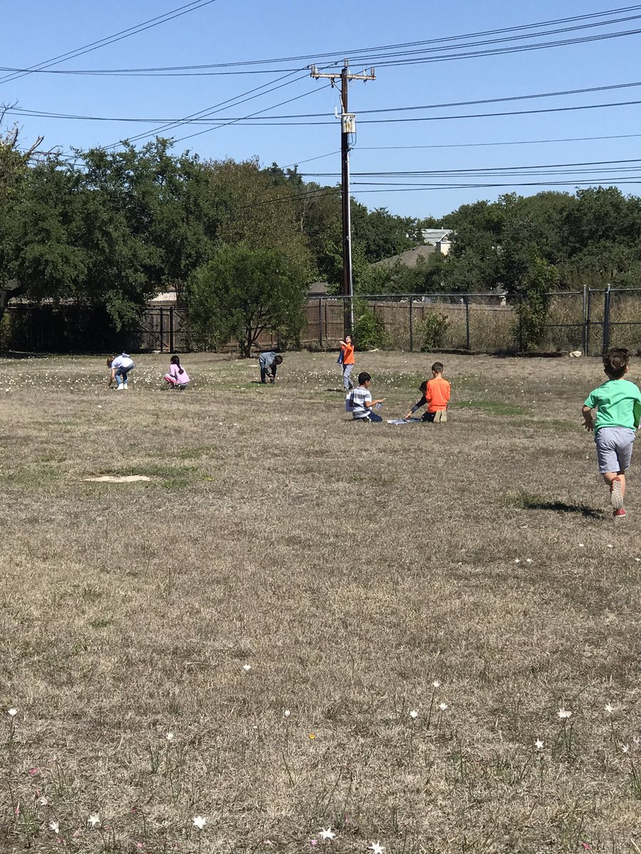 MsBrenner18's tweet photo. When you’re learning about parts of a plant...class gets to go on a nature hunt 🤗 best Tuesday ever with these 2nd graders!! @NISDGalm https://t.co/FrJb96Rzh9
