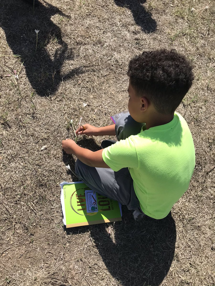 MsBrenner18's tweet photo. When you’re learning about parts of a plant...class gets to go on a nature hunt 🤗 best Tuesday ever with these 2nd graders!! @NISDGalm https://t.co/FrJb96Rzh9