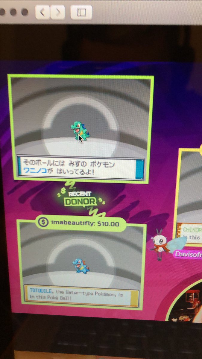 ModestNature79's tweet photo. Congrats Again @Rozoken https://t.co/6ytYvg0Bla