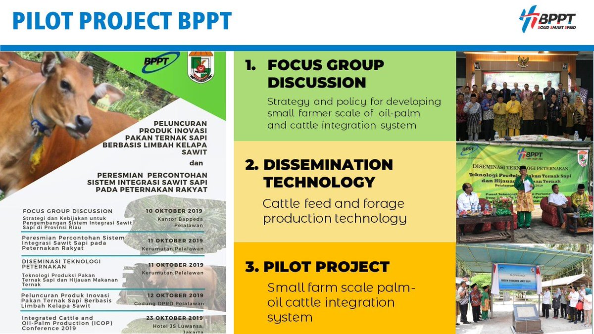 BPPT_RI's tweet photo. 5. @hammam_riza: Tantangan 4.4 juta hektar kebun kelapa sawit dpt kita manfaatkan u/meningkatkan perekonomian. BPPT dgn konsep integrasi sapi sawitnya sdh melakukan riset&pemanfaatannya, bahkan bisnis modelnya.
Kita yakin bisa menambah berat badan sapi hingga 0.8kg/hari
#ICOP2019 https://t.co/CxEdWPmg59