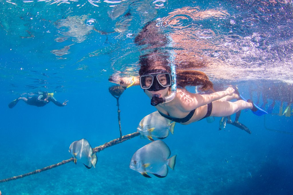compasscruises's tweet photo. You don't have to venture far under the water to experience the magical marine life that is waiting to greet you
#compasscruises #greatbarrierreeftours #daytour #backpackcairns #daytripcairns #farnorthqueensland #snorkel #diving #discover #bestcrewonthereef https://t.co/IyLDPZrLjg