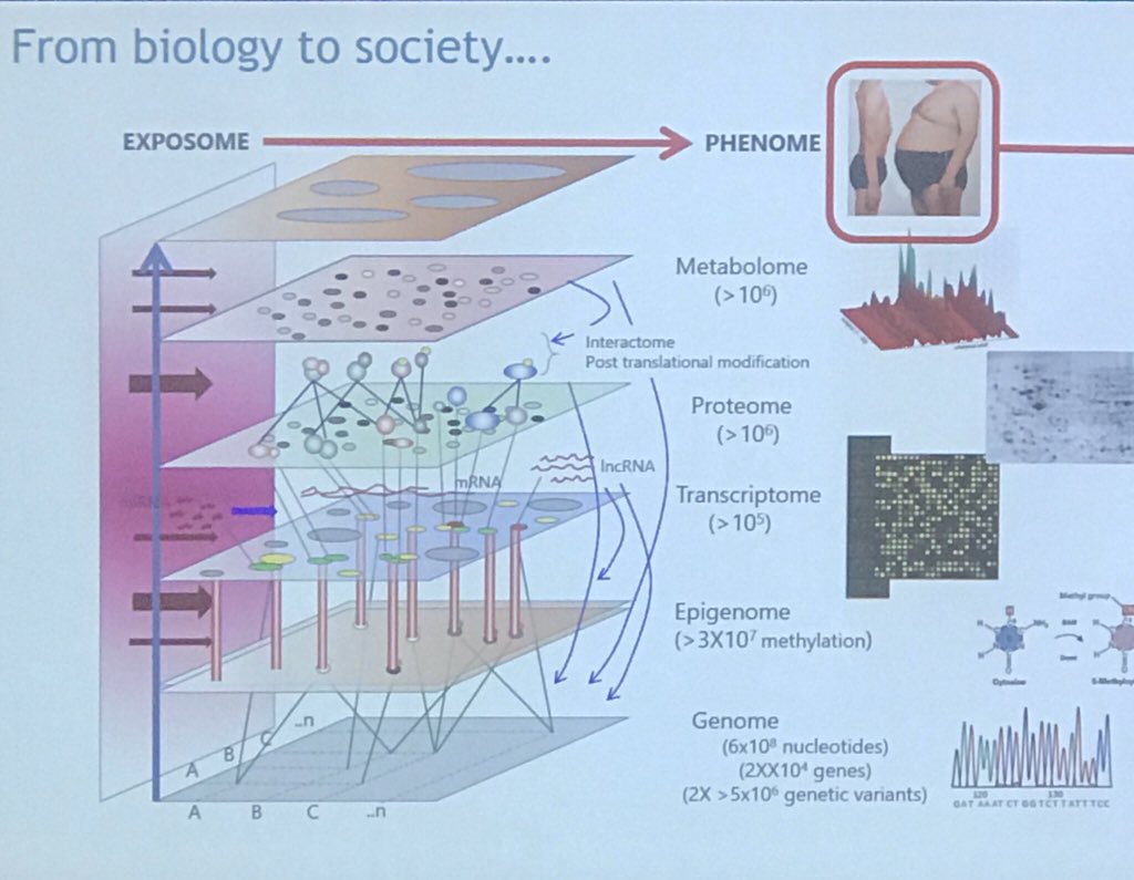 spun010's tweet photo. Finally Biggest ever cohort of  Australia by @Melissa_Wake is step forward from biology to society @DOHaD2019 @AucklandLiggins https://t.co/xViWEhtSvG