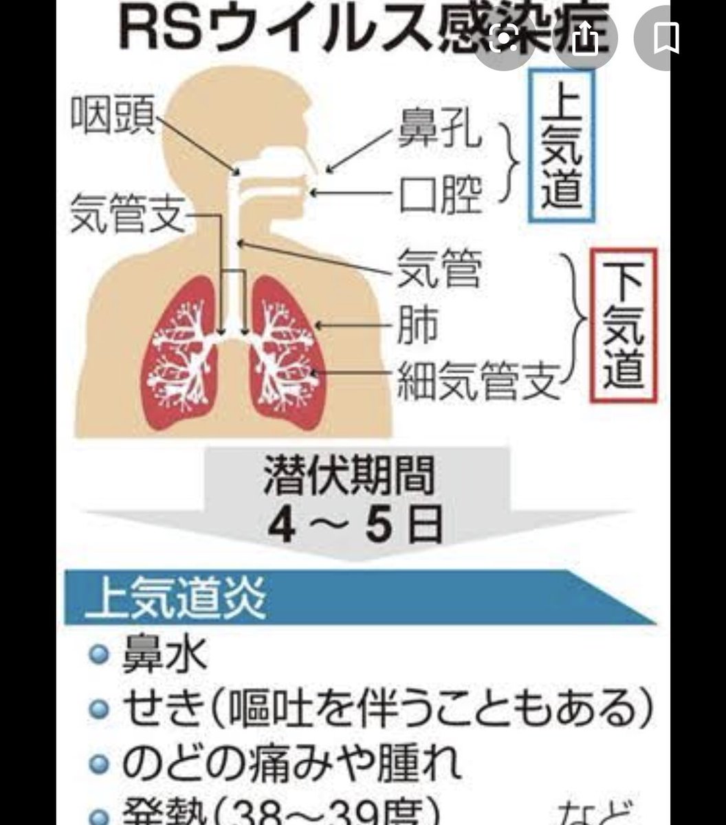 今流行りの風邪