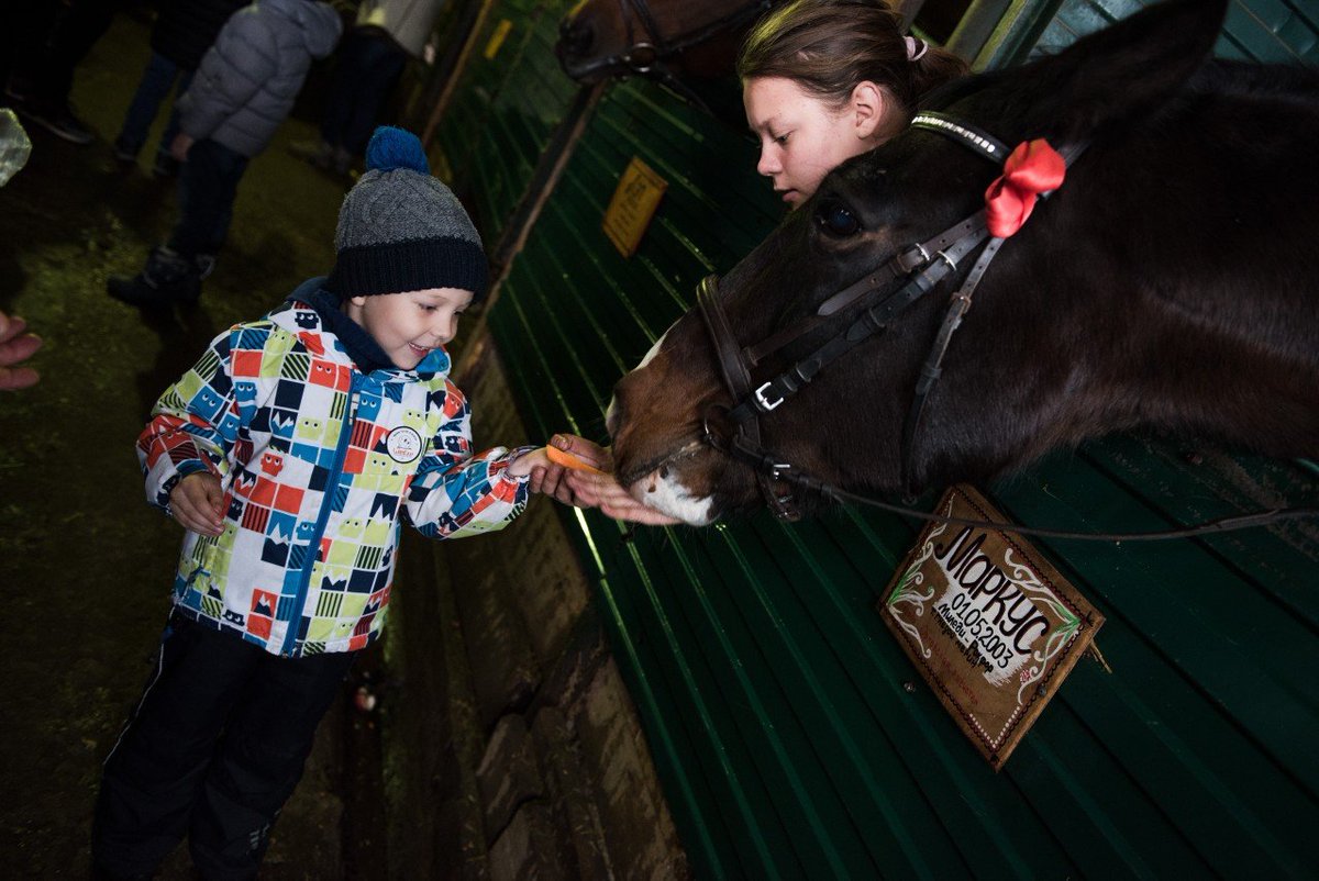 На базе конной школы нашего поселения прошла благотворительная акция - в гости приезжали ребята из воскресной школы при храме в честь иконы Божией Матери "Живоносный Источник". Руководитель конной школы Елена Чаплыгина провела экскурсию по конюшне Потом катались на лошадях и пони