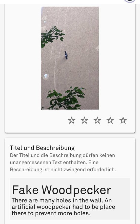 WayfarerFails's tweet photo. #WayfarerFail 99 (eingesendet von @SirLastHope)
Titel: Fake Woodpecker https://t.co/XaKDnJDyxy