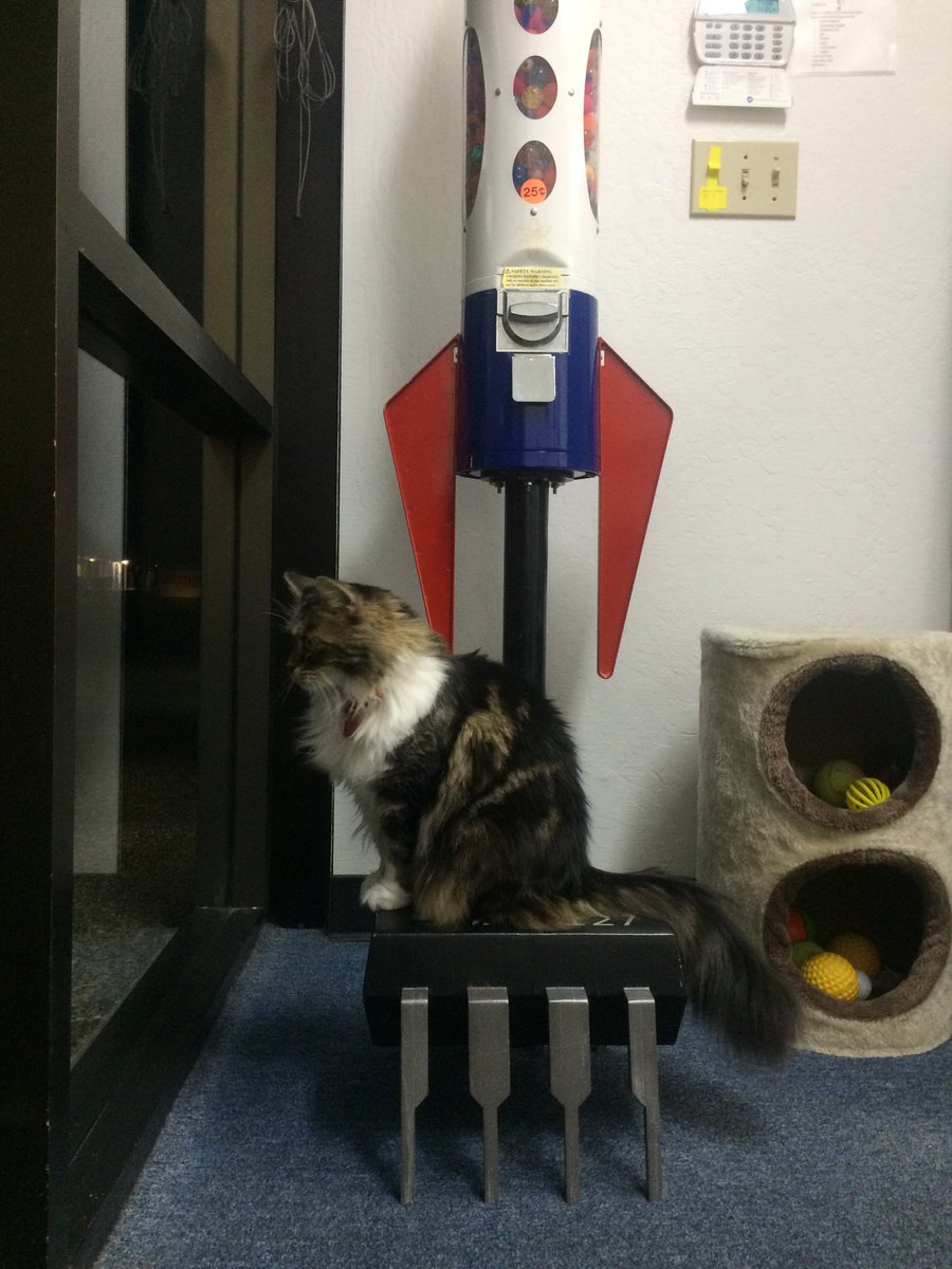 EMSL's tweet photo. Our watchcat, @EvilMadZener on duty this evening. https://t.co/aW3DiubVTE