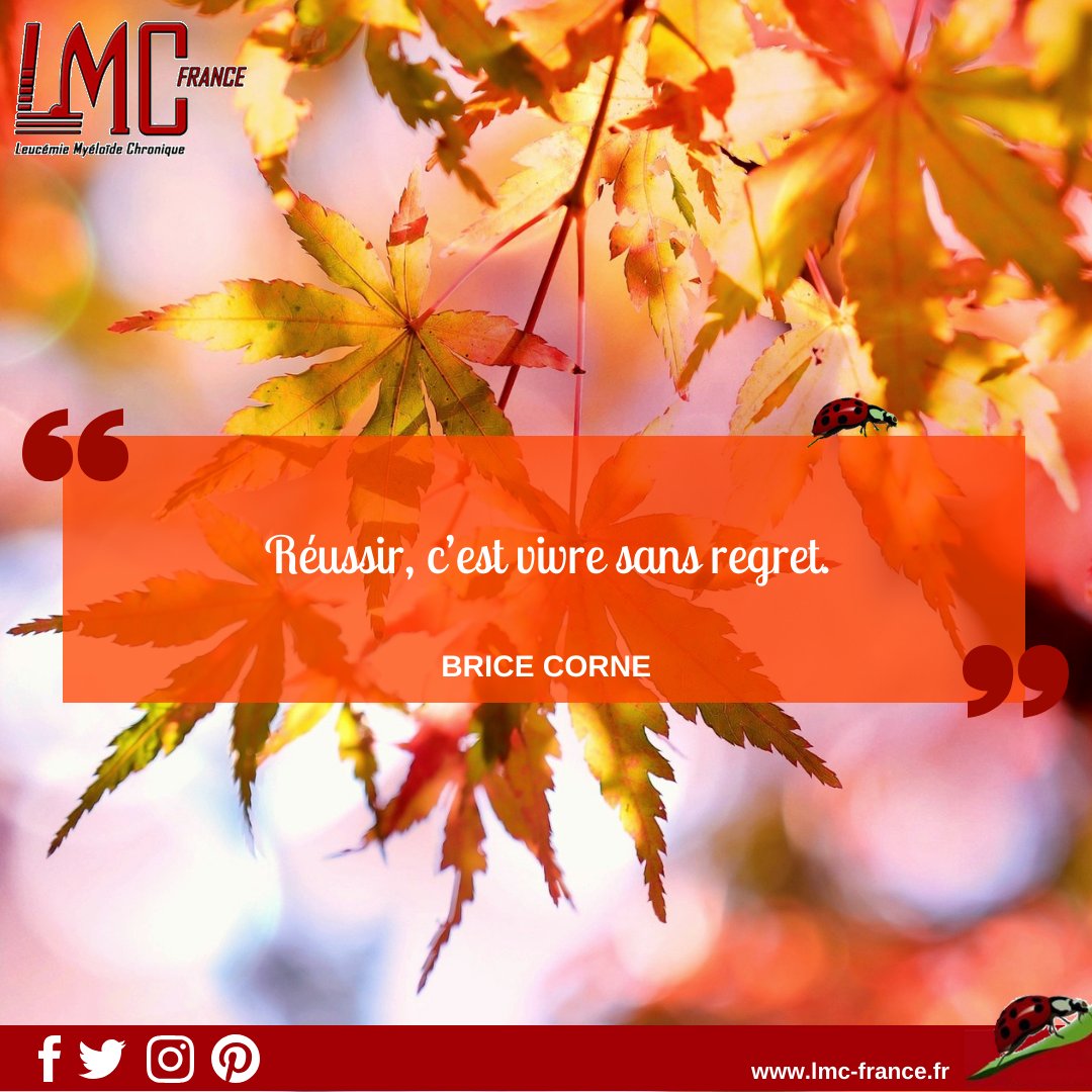 Lmc France Vivons Sans Regret S Lmc Leucemie Lmcfrance Citation Reussir Bricecorne Lmc France Vivons Sans Regret S Lmc Leucemie Lmcfrance Citation Reussir Bricecorne