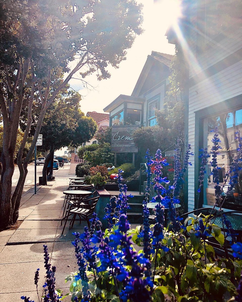 Our Happy Place!
.
.
.
#cremapg #cremlins #findyourhappyplace #pacificgrove #montereybay #brunchsohard #vervecoffee #bringme #seemonterey #grabyourmoment #brunchlife #coffee #happyplace