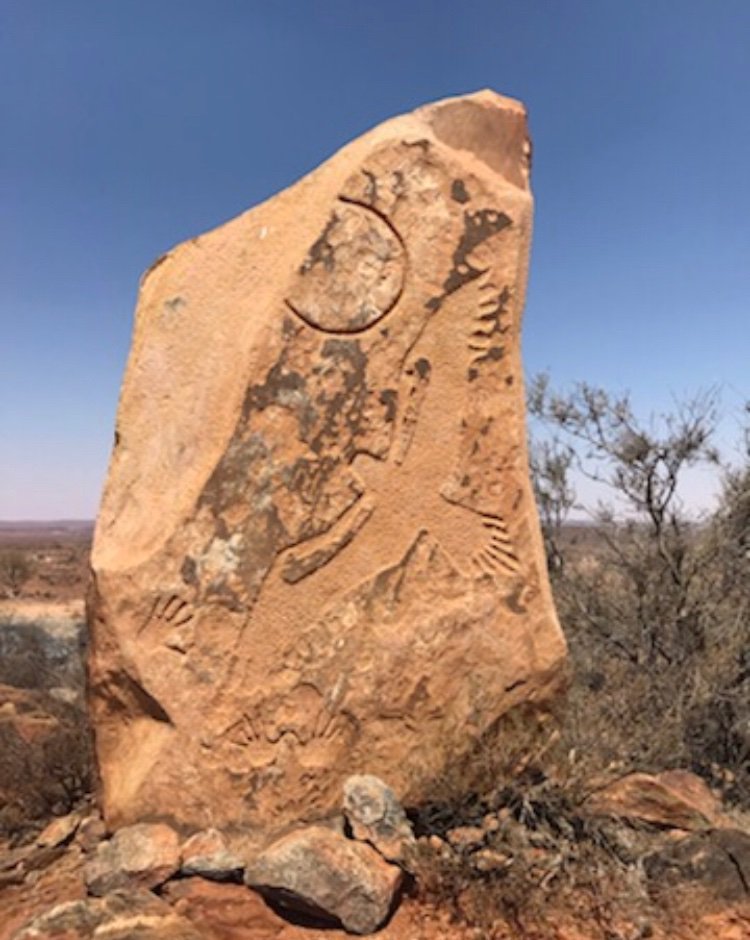 Following a great morning of presentations this afternoon was all about field trips in the Far West landscapes. #NSWLandcareConf