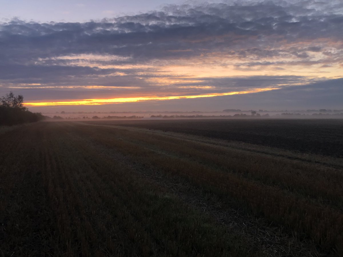 Finally! A chance to get some pre em spraying done this morning. A fresh start at @SyngentaCropsUK Barton Blackgrass innovation centre. Bring the bacon butties please <a href="/jwt1989/">James Thomas</a>! #golowgoslowgetcovered #bestpractice