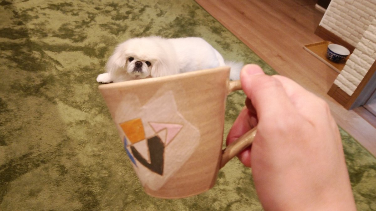 ホワイティいぬだ ウインナーコーヒー風犬