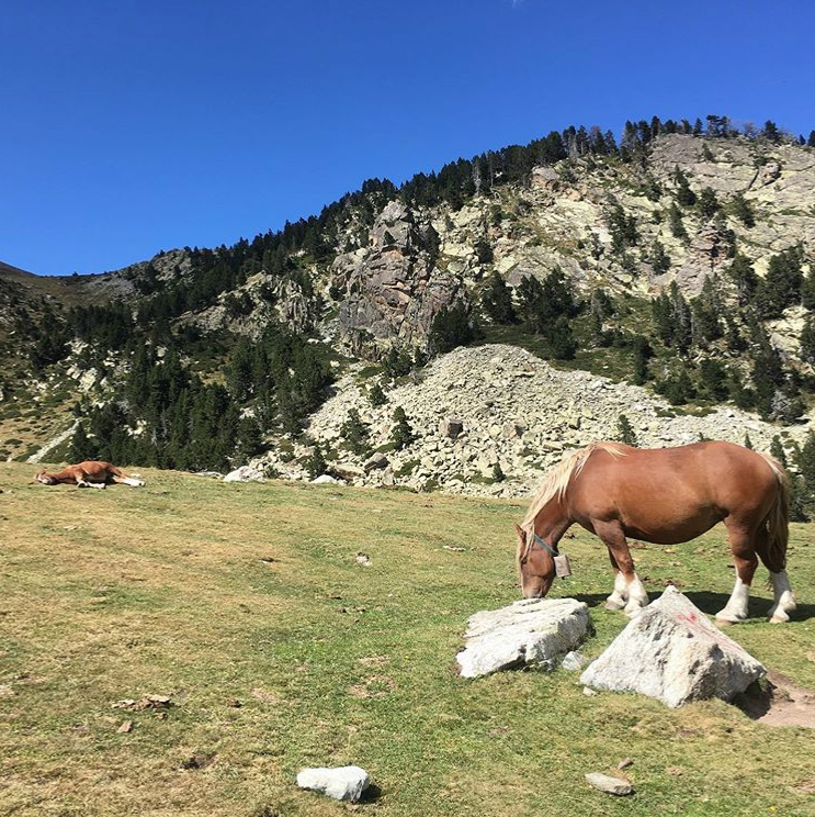 call_mountains's tweet photo. The mountains are calling and I must go.

#mountainscall #trekking #neverstopexploring #hiking https://t.co/wRHYoL4ERC