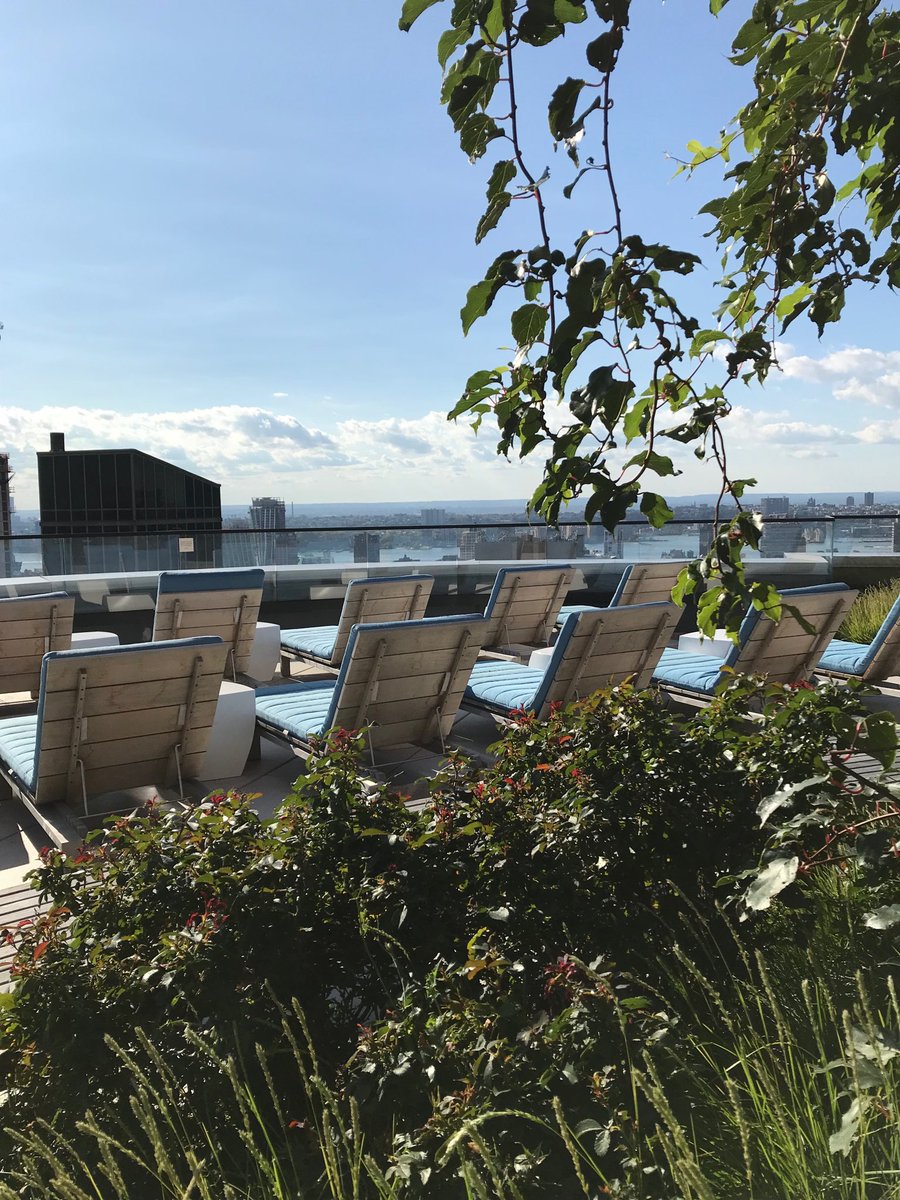 HMWhiteSA's tweet photo. Thinking of sunny skies and beautiful weather. #hmwhite #sunnyview #view #morning #nyc #rooftop #sky https://t.co/t7zlAC7AiZ