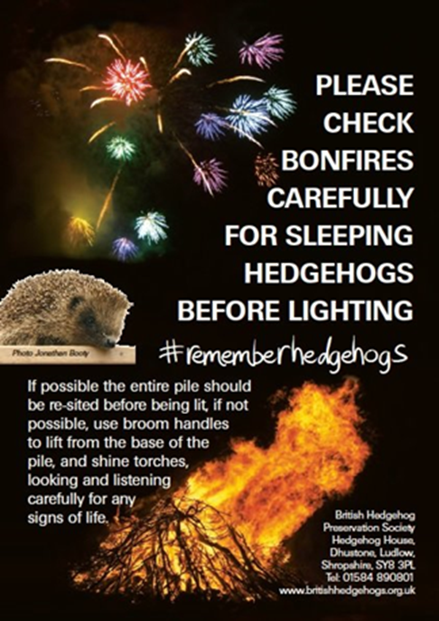 It’s #mammalweek, and in preparation for upcoming autumnal festivities we ask you to #rememberhedgehogs when building and lighting bonfires. They like somewhere warm and cosy, but a burning pile is a bit too toasty!