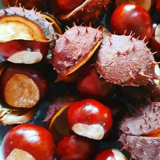 Flex Our Minds tweet media