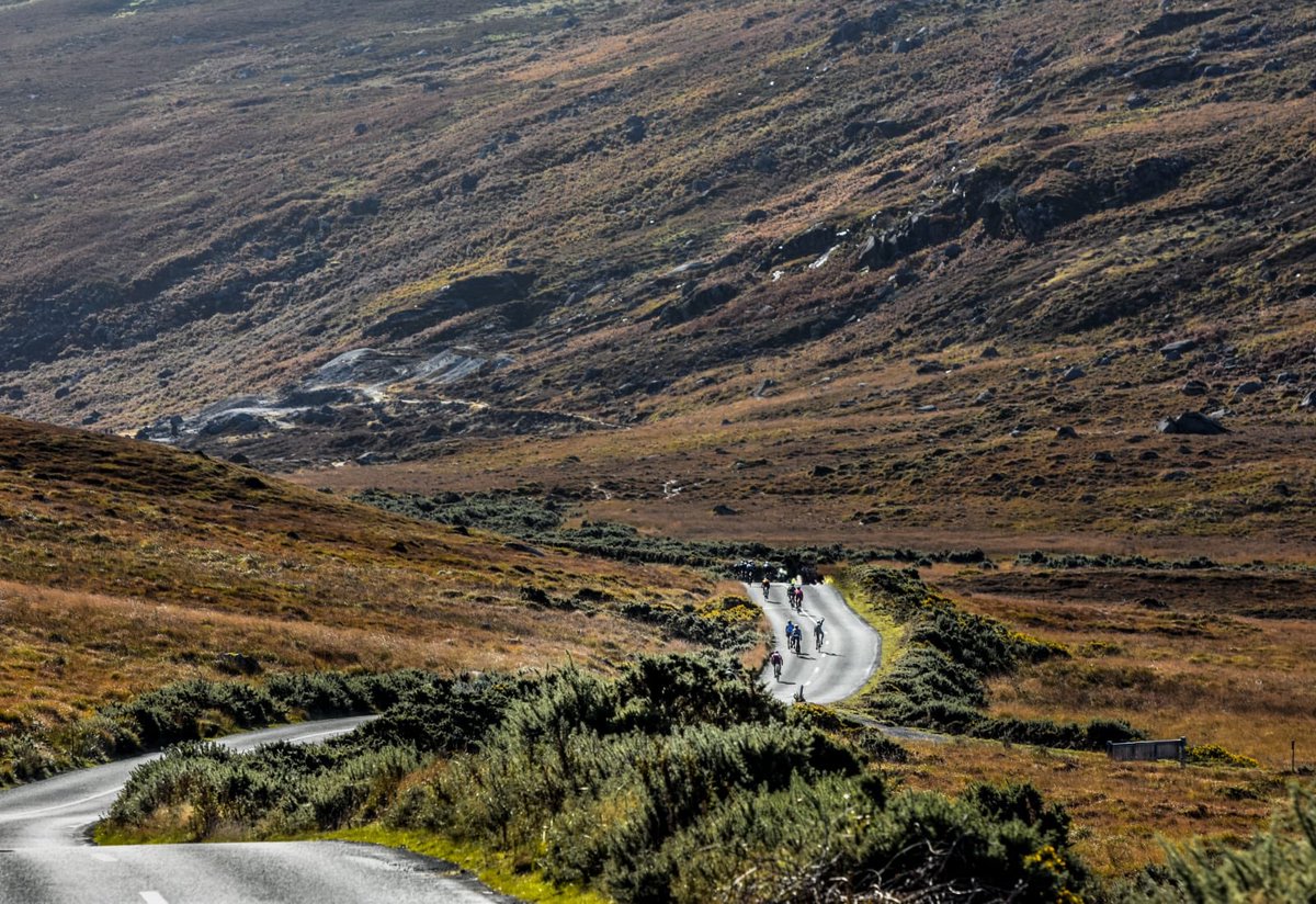 theprojectnr tweet media