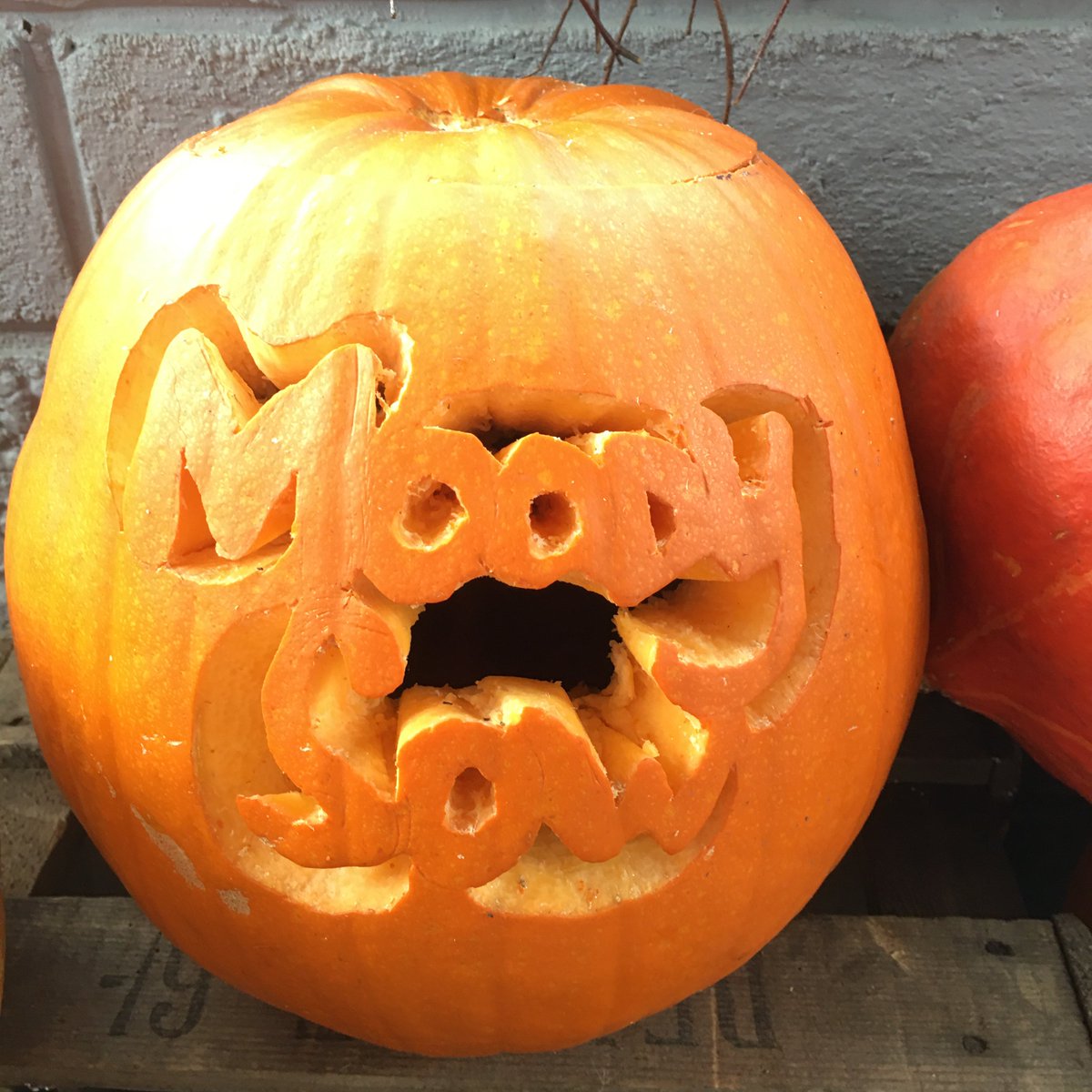 Jack has sculptured one of our pumpkins that are for sale <a href="/moodysow/">MOODY SOW FARM SHOP</a> pop in and grab yours