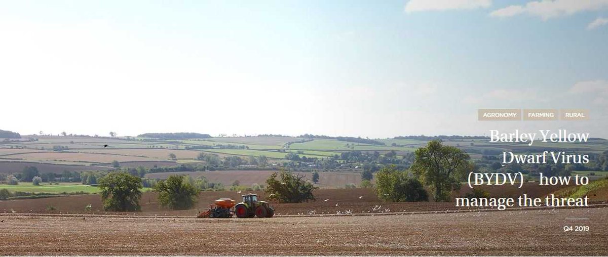 struttsmorpeth's tweet photo. More of a #farmingfocus today! Without neonicotinoid seed treatments, the weather will play a crucial role in determining whether Barley Yellow Dwarf Virus (BYDV) is a problem this year. #farming #arable #struttandparker #Barley #YellowDwarf 
https://t.co/a8sfc4sSD6 https://t.co/1K0QrA89Sz
