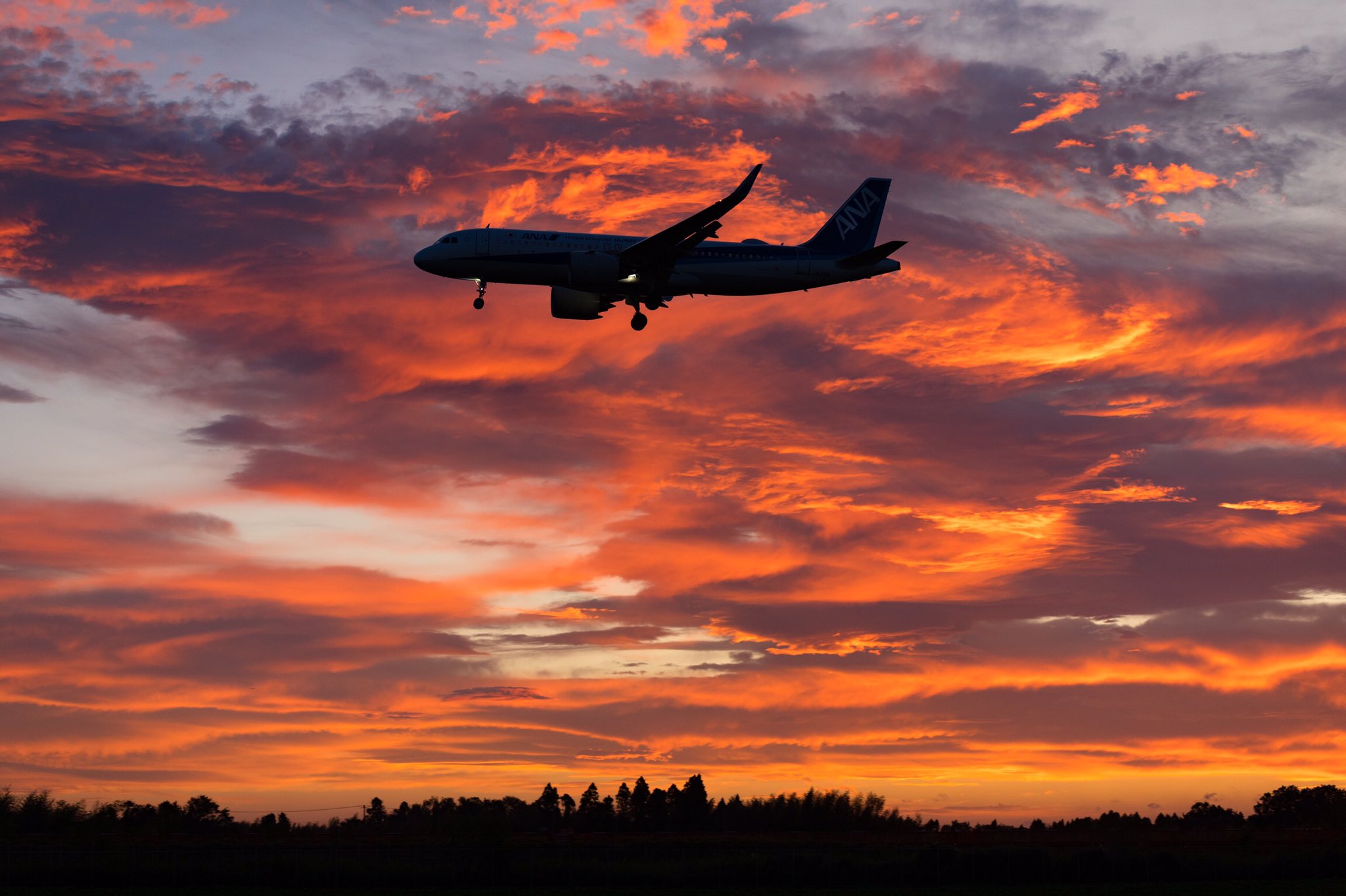 Ana旅のつぶやき 公式 Ana飛行機写真 夕暮れに見られたひと時の美しいショー Photo Sekipiyo 飛行機 に乗りたくなったら T Co O55mas6qcn Anaの飛行機は ソラマニ ヒコーキ をつけて投稿して Ana旅のつぶやき 公式 Ana飛行機写真 夕暮れに見られたひと時の美しいショー Photo Sekipiyo 飛行機 に乗りたくなったら T Co O55mas6qcn Anaの飛行機は ソラマニ ヒコーキ をつけて投稿して