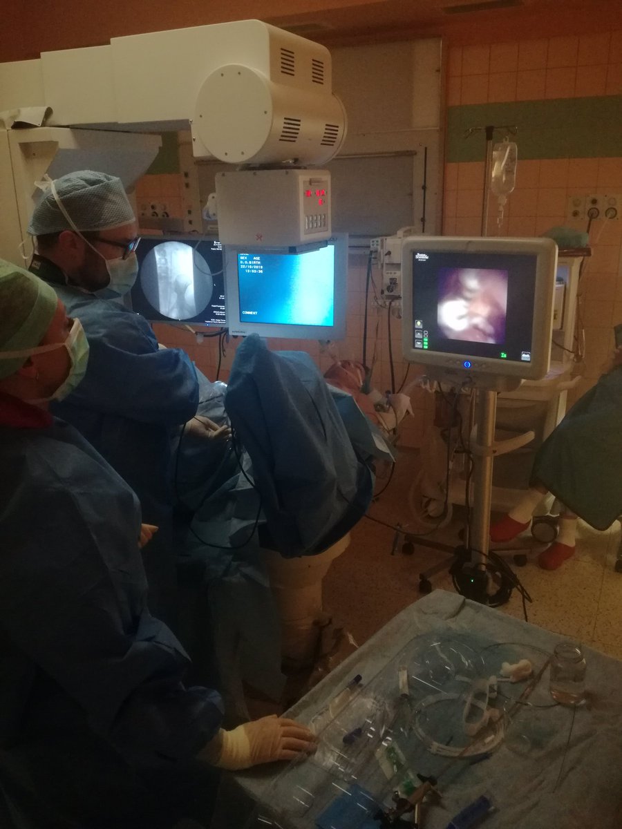 Agnes99284241's tweet photo. Opravdu záživný a poučný workshop na téma endoskopické terapie urolitiaz ve spolupráci #UrologickaKlinikaVFN a #BostonScientific. #LithoVue #uroczech https://t.co/ttsamQOASB