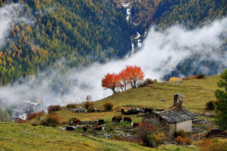 Cogne, #GreenDestination2019
Chiesa di Tarabouc (Credit T. Moreau)