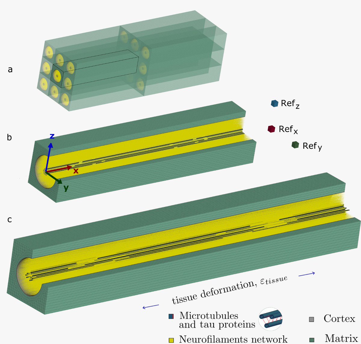 AnnacMont's tweet photo. My latest work has now been published on the Journal of Biomechanical Engineering by @ASMEJournals: https://t.co/0zZYlI3B31! Here we propose a computational approach to assess the onset of mechanoporation.
Thanks to @RR_Amini for having been a great editor! https://t.co/NvgeeJh1O3