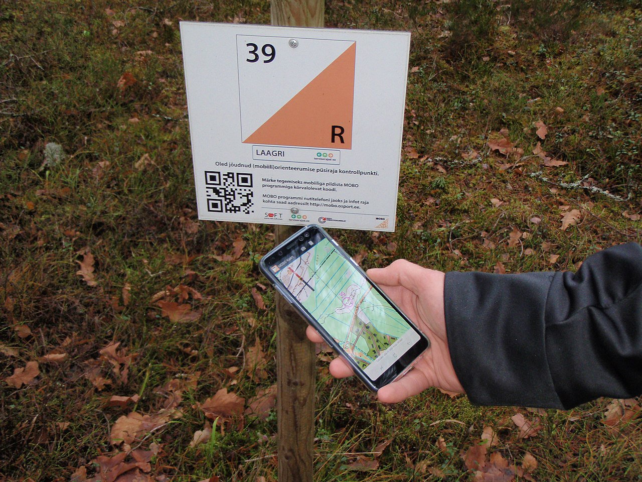 Ориентирование по QR