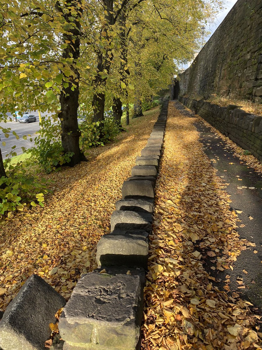 Oh I do love autumn 🍂 🍁 

#Carlisle #Cumbria #Autumn