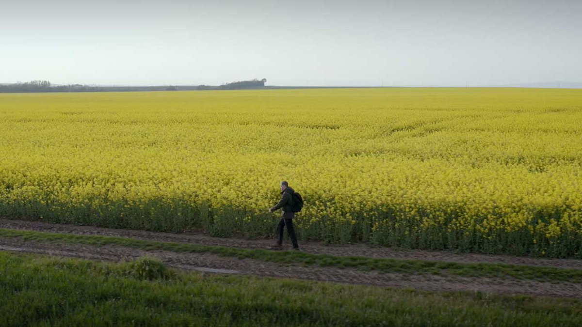 De eerste muzikale voetstappen van Bach, het ontstaan van dé Matthäus en Bachfantasieën van <a href="/TijlMTBeckand/">Tijl Beckand</a>: de derde aflevering van 'Tijl in het voetspoor van Bach' zit weer bomvol mooie verhalen. Kijk de uitzending terug! ➡️ bit.ly/2pM9q8M #inhetvoetspoorvanbach