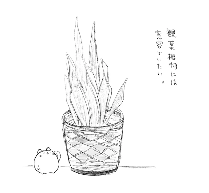 物をよく見る練習。観葉植物今日からポエムを添えてみます。 