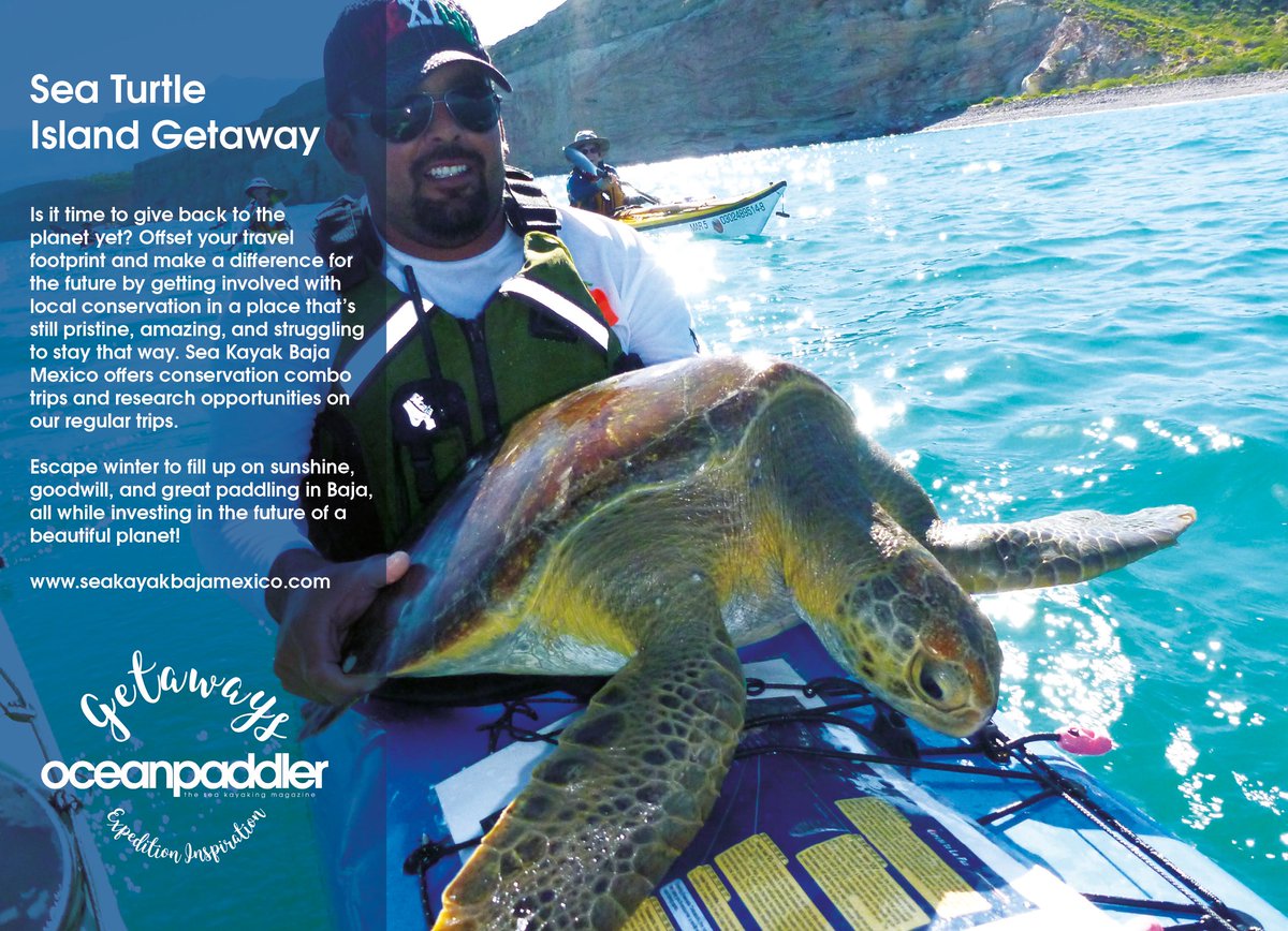 Ocean Paddler tweet media