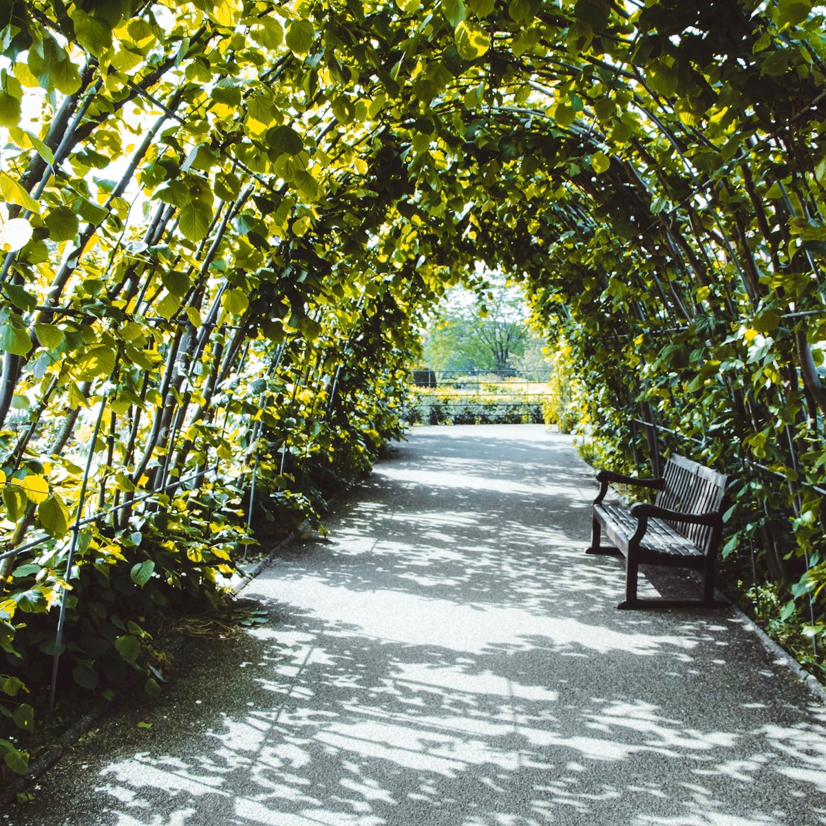 Light Blue Travel tweet media