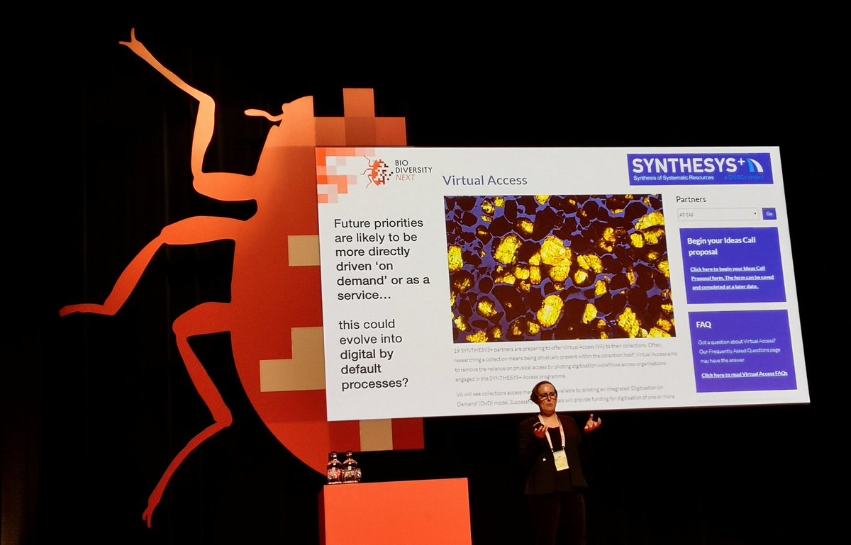 SandyKnapp's tweet image. Shout out for @SynthesysEU #virtualaccess Ideas Call.. @biodiv_next folks, do come and find @lowkeyhighflyer @vsmithuk or @SandyKnapp to talk about the programme