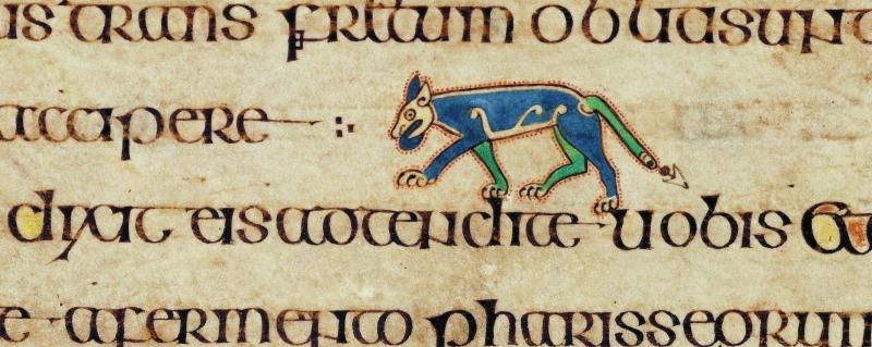 "Of all the animals, the wolf is perhaps the most feared in terms of superstition... everywhere linked with evil, just like the snake. This is clearly shown in the illustration of a wolf with an evil-looking tail in the Book of Kells". Kieran Hickey, Wolves In  #Ireland. f76v 