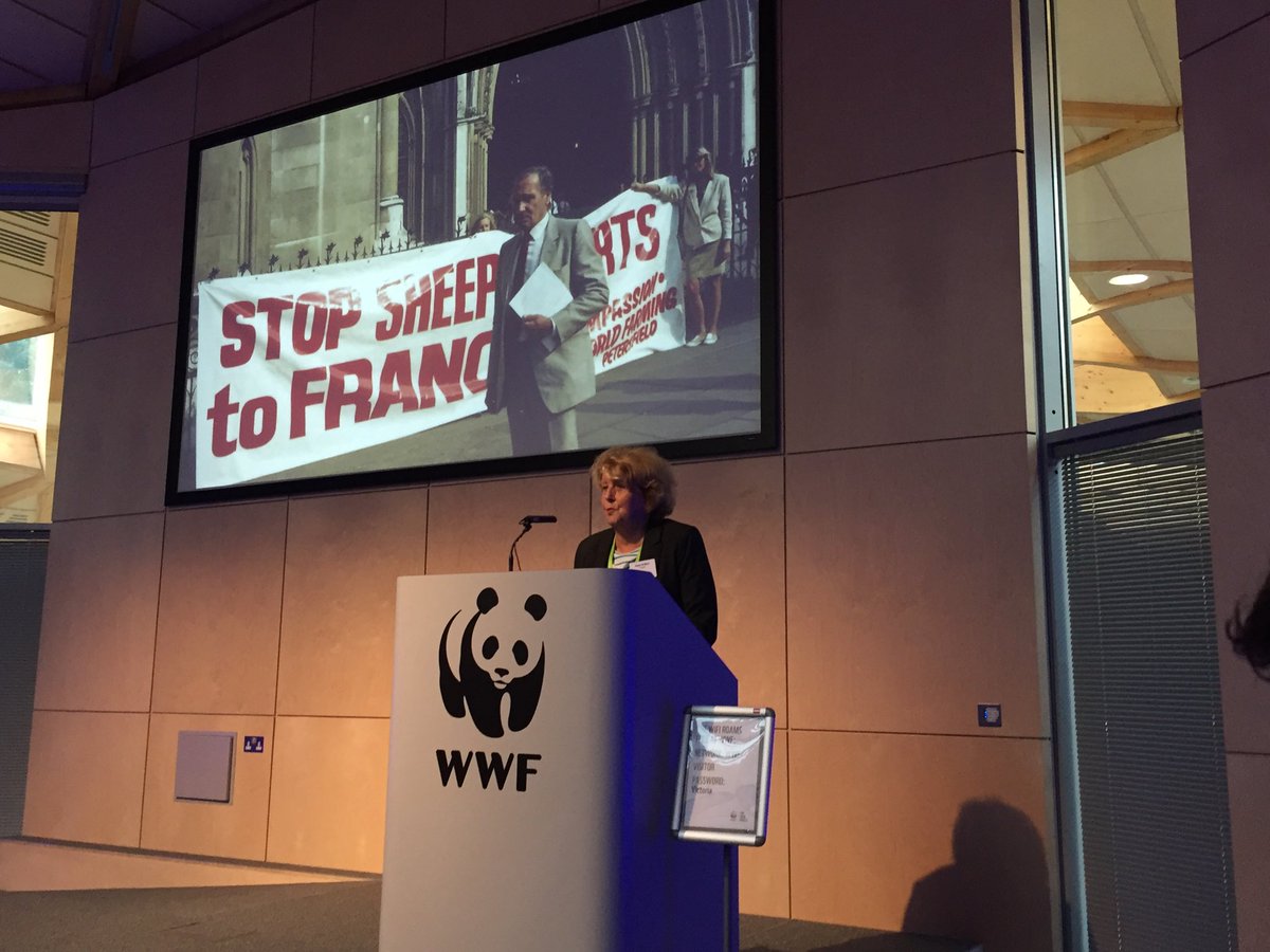 vjandfizz's tweet photo. ⁦@JoyceDSilva⁩ speaking ⁦@ciwf⁩ Global Employee Summit ⁦@wwf_uk⁩ https://t.co/EnSTralm4B